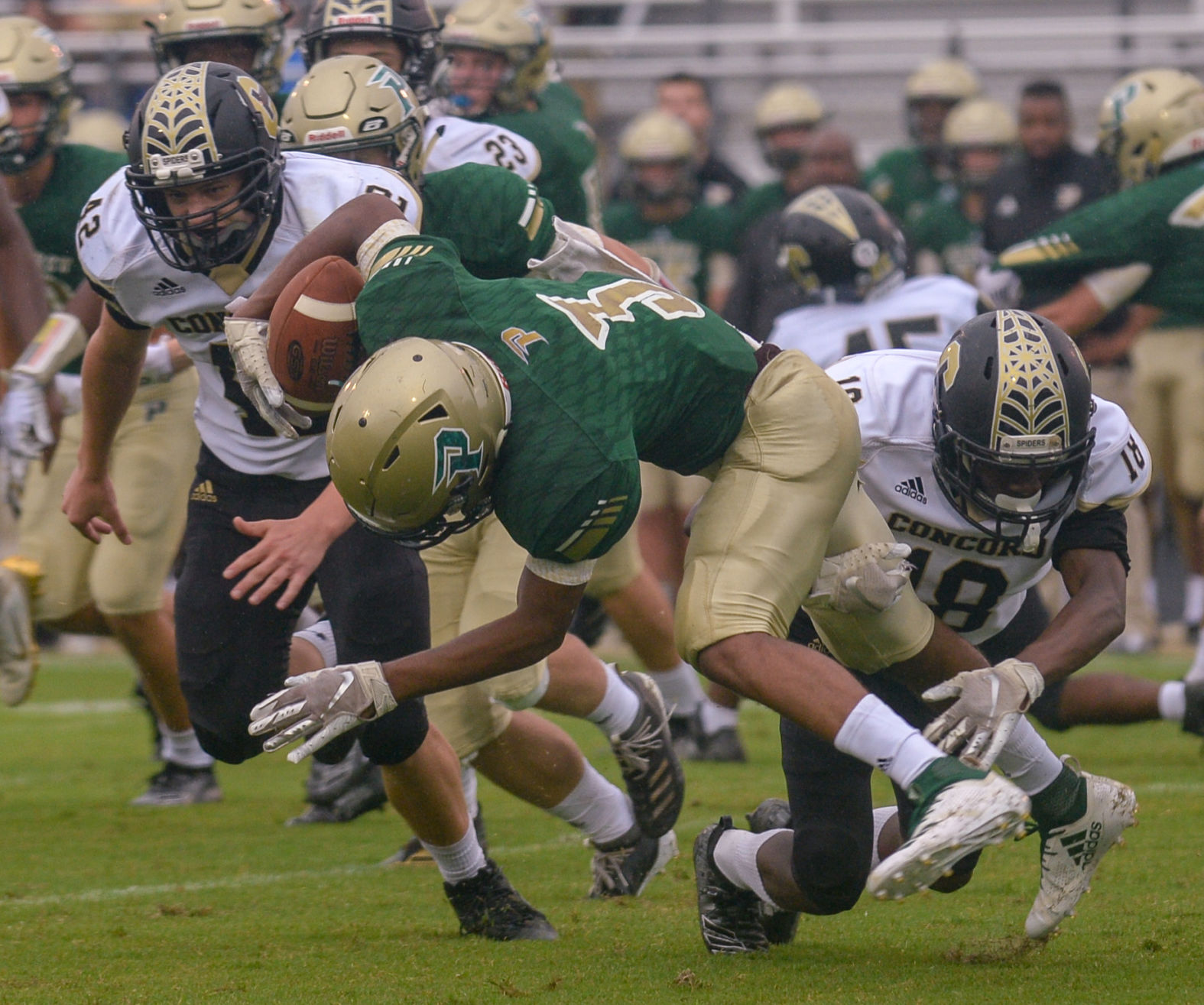 concord-Pinecrest 5.jpg